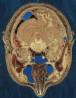 Picture of Head