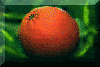 Oorange Logo