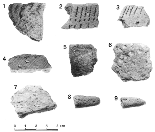 Pottery of the Narva type from
Riigikla, Site IV