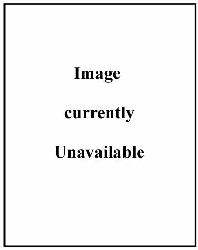 Image currently unavailable
