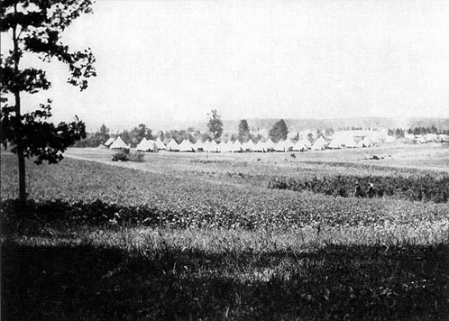 Picture - Camp Alger, Virginia, 1898