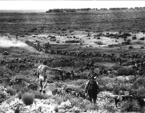 Picture - 1st Cavalry Division maneuvers, Toyahvale, Texas, 1938
