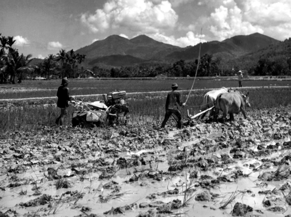Picture - Vietnamese Farmer Operates Roto-Tiller Alongside Plow Pulled by Water Buffalo
