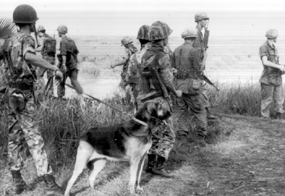 Photo:  SEARCH TEAM IN OPERATION WITH SCOUT DOG AND U.S. SECURITY ELEMENT. Each team is composed of six Police Field Force members; the security element consists of men from the 199th light Infantry Brigade.