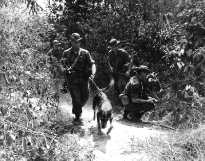 PICTURE: Scout Dog Leads Patrol Searching for Viet Cong