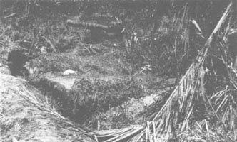 Photo: Firing Pits and Bunker Entrances, Buna Mission