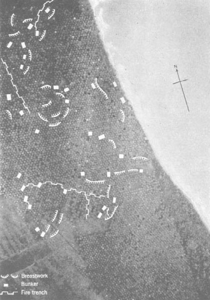 Photo: Japanese Defenses in the Duropa Plantation