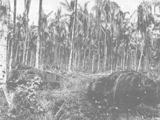 Photo: Disabled Bren-Gun Carriers