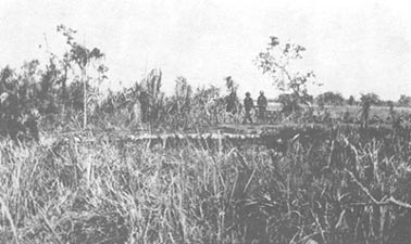 Photo: Bridge over Simemi Creek