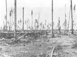 Photo: Buna Mission after the Battle