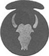 Photo: 34th Division Insignia