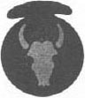 Photo: 34th Division Insignia