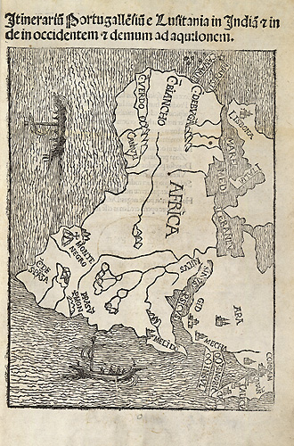 Bild vergrößern