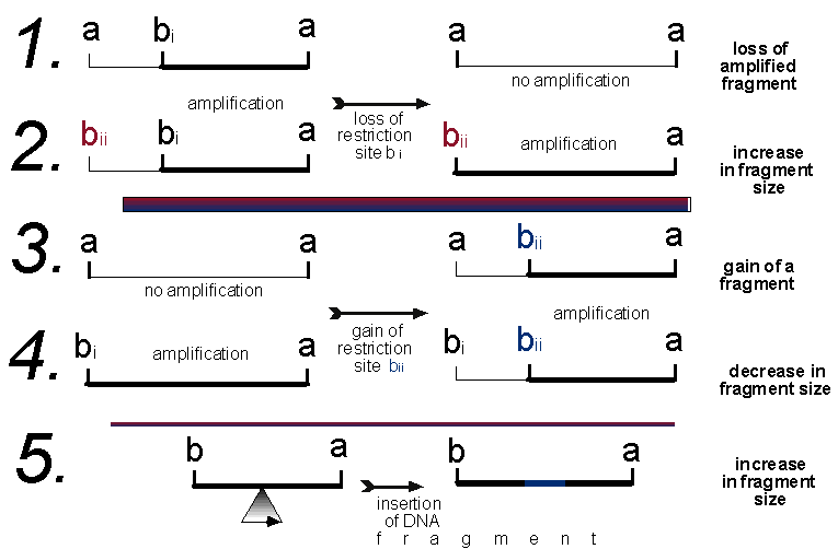 EPUB RISIKOFAKTOR PRÄSENTISMUS: HINTERGRÜNDE