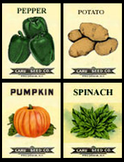 Composite image of seed packets.