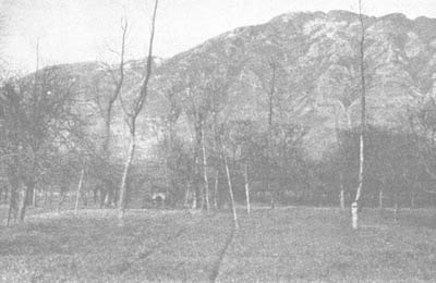 Photo: Montesarchio, on Highway 7