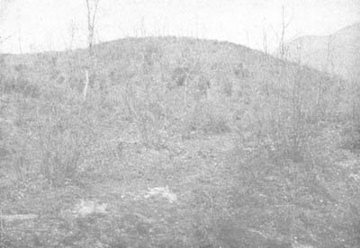 Photo: Hill 235