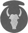Photo: 34th Division Insignia